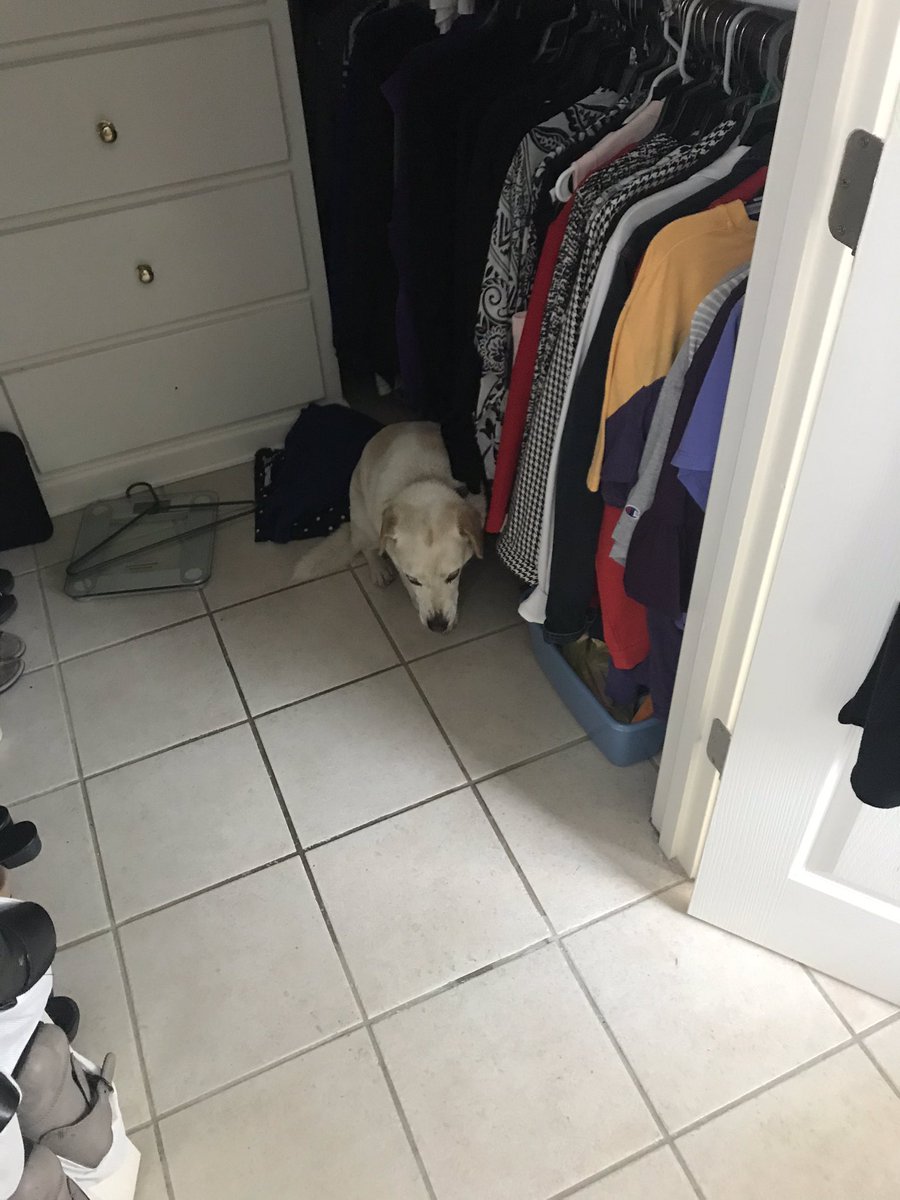 AyVoinchay's tweet photo. I am in my safe space now. The scary boom boom weather noise can’t hurt me in my safe spot. https://t.co/0rCXLR2Nr3