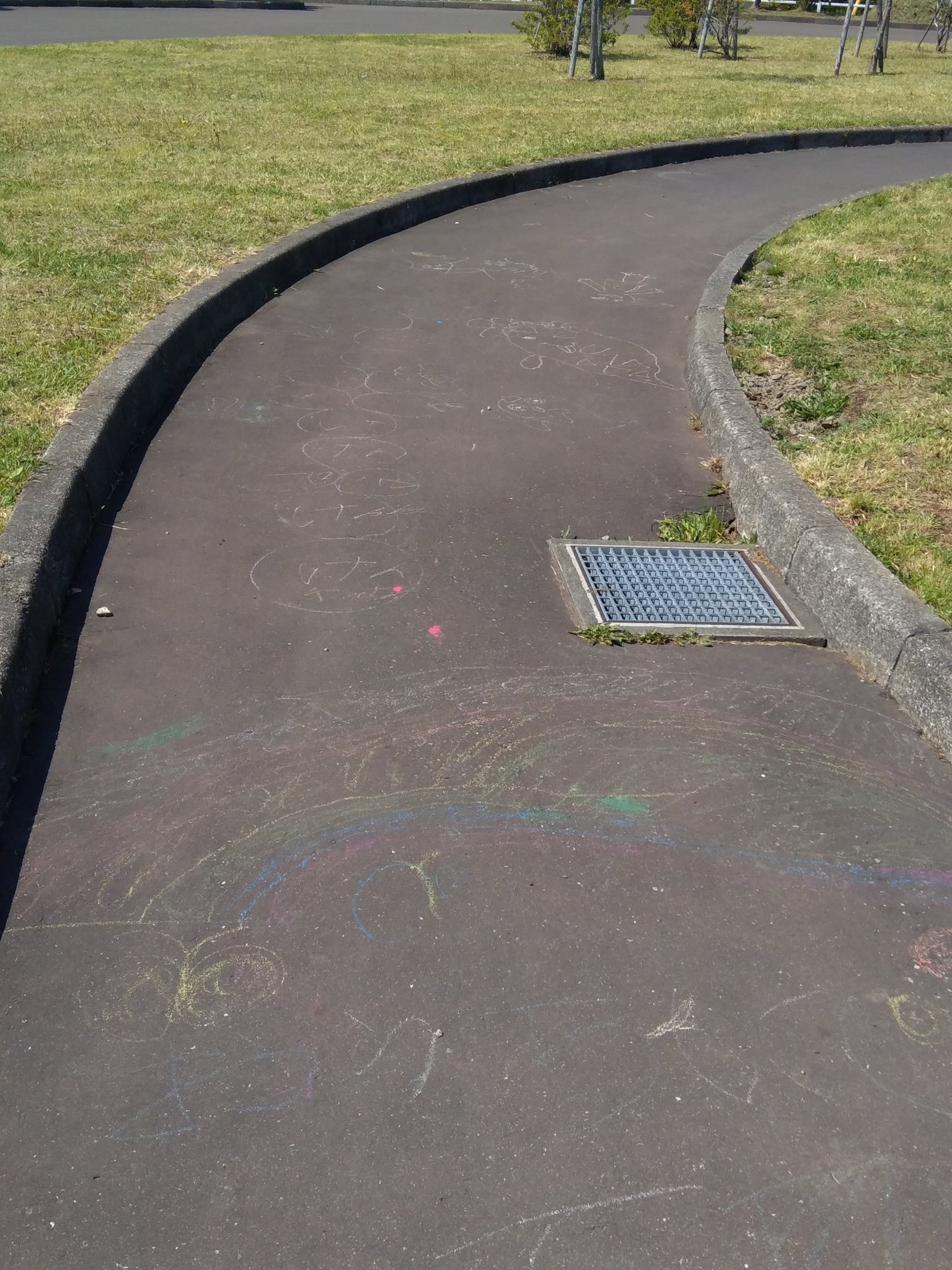 Saje 朝の仕事終わりに息子たちと散歩 道路の落書きがニュルブルクリンク