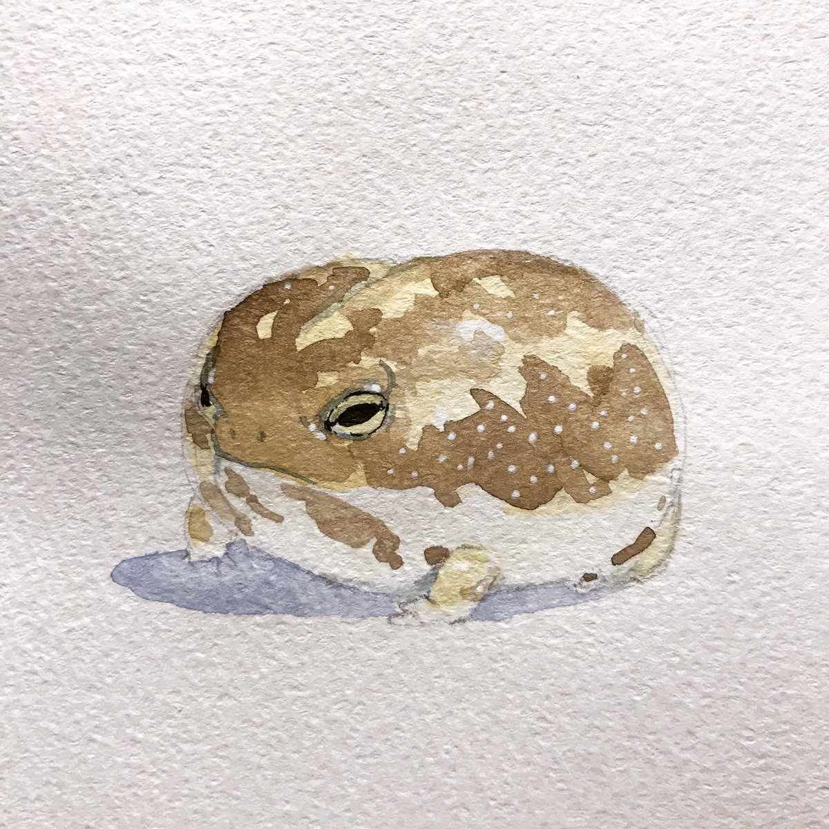Twoucan アマガエル の注目ツイート イラスト マンガ コスプレ モデル Twoucan アマガエル の注目ツイート イラスト マンガ コスプレ モデル