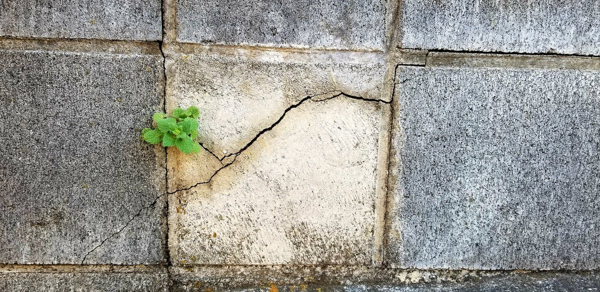 槇ななり tweet media