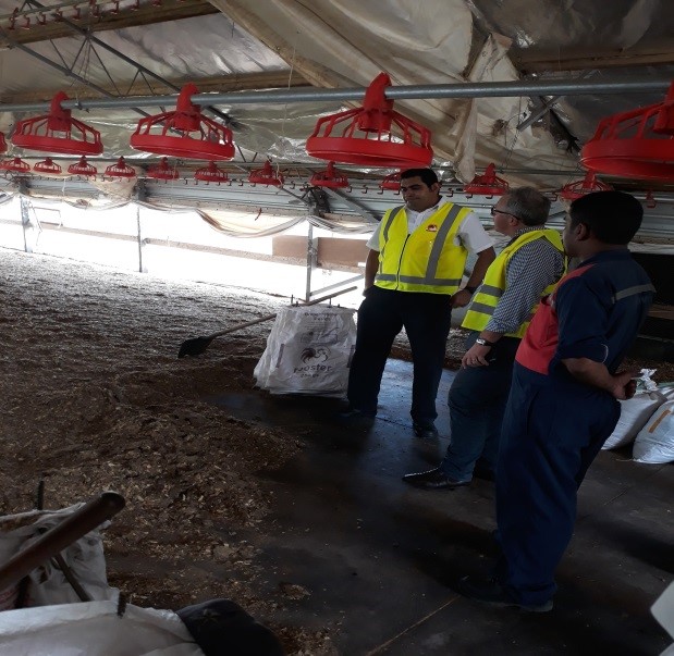 Neutrog Commercial tweet media