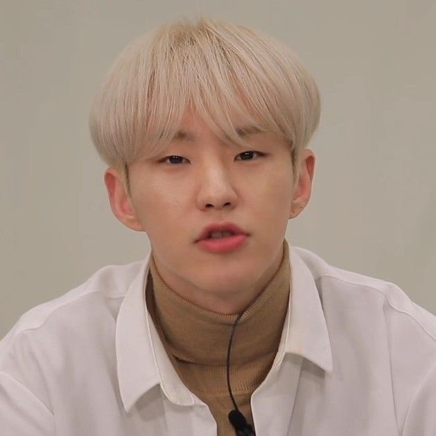 Hoshi-he ain’t a tiger. His a hamster-his literally a prince -best choreographer -best leader -this kid is a baby please don’t hurt him he’s to pure and innocent -has that beautiful vocals-best rapper-why is even in the hyung line he looks like a baby to me-soft cheeks