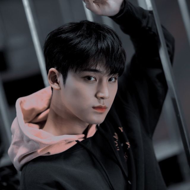 Mingyu-this kid is 6 foot tall but why is he so soft -is he even the maknae-this kid is so talented that it makes me wanna look at the mirror and tell myself “dude what the f*ck happen to you??”-this kid is just so cute!!-those visuals, damn!!!!