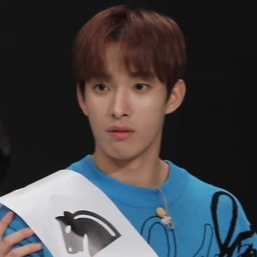 Seokmin-the government already declared that he is a real sun-please he’s the best vocalist of all-I wanna hug this kid so much -give this kid a lot of pizza-he’s just a soft little baby that needs to be protected -no one has those kind of visual only Lee Seokmin!!