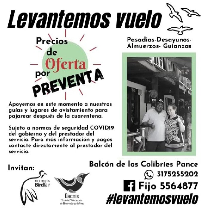 Elbalcondelosc1's tweet photo. #pajareandoencasa #colombia #colibríes #MedioAmbiente #aves #naturaleza #CaliUnidaPorLaVida https://t.co/goRVsGWbBz