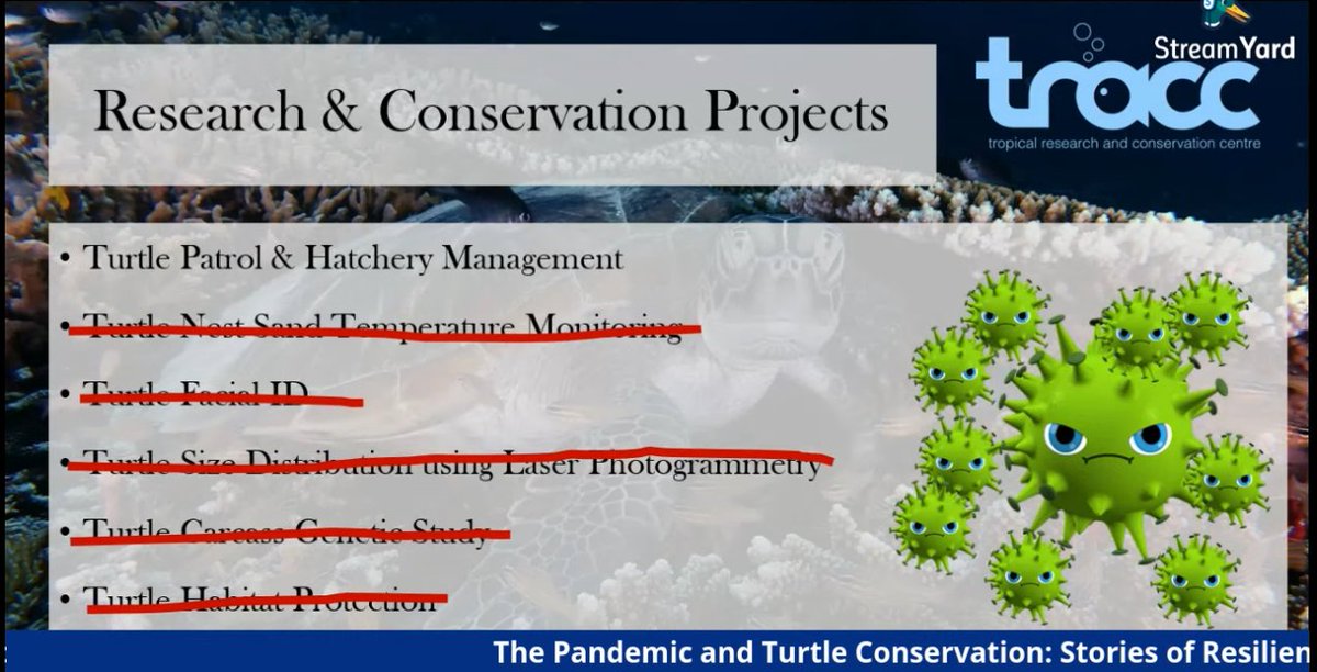 However, the  #COVID19 pandemic has forced them to reprioritize their work.They now focus on turtle patrols and hatchery management.