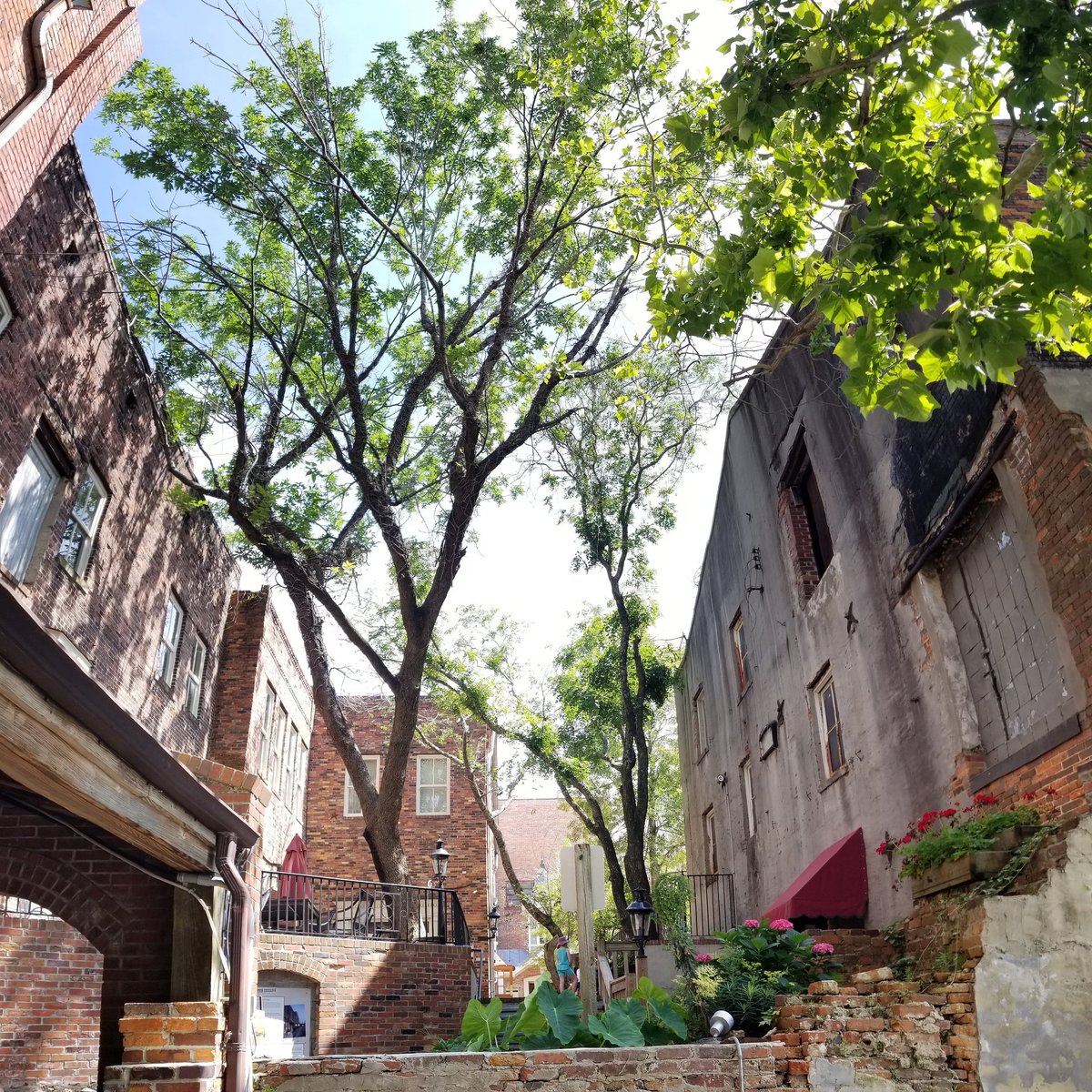 OnPointPMC's tweet image. Beautiful little space.. it was so nice getting out and about with the fam today and enjoying everything! 
#memorialday #family #kids #kalebriley #karissalynae #onpoint #food #fun #icecream #wilmingtonnc #downtownwilmington