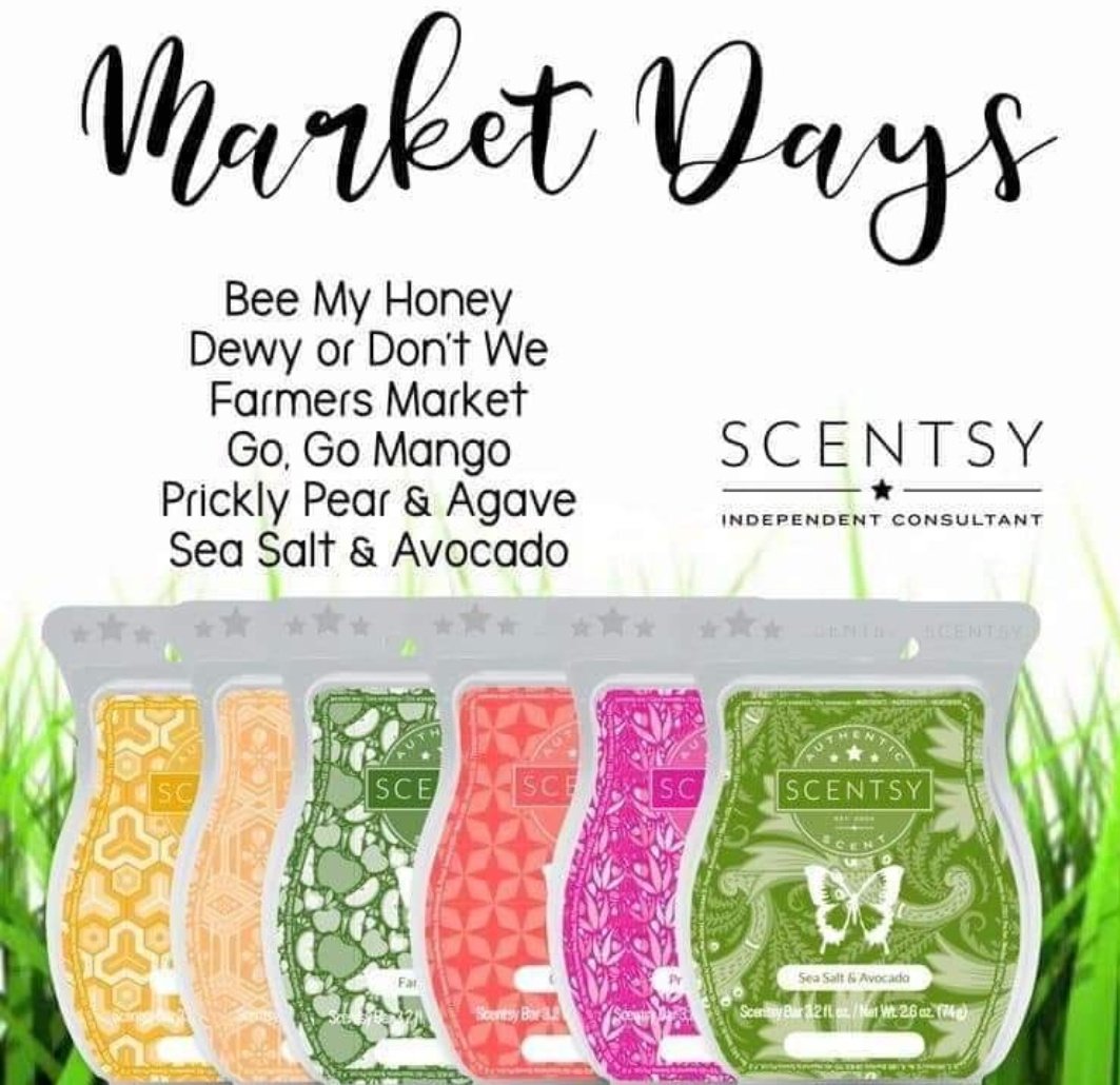 xonoell's tweet photo. if anyone wants any scentsy stuff at a discounted price message me https://t.co/Xb0bny5hLQ