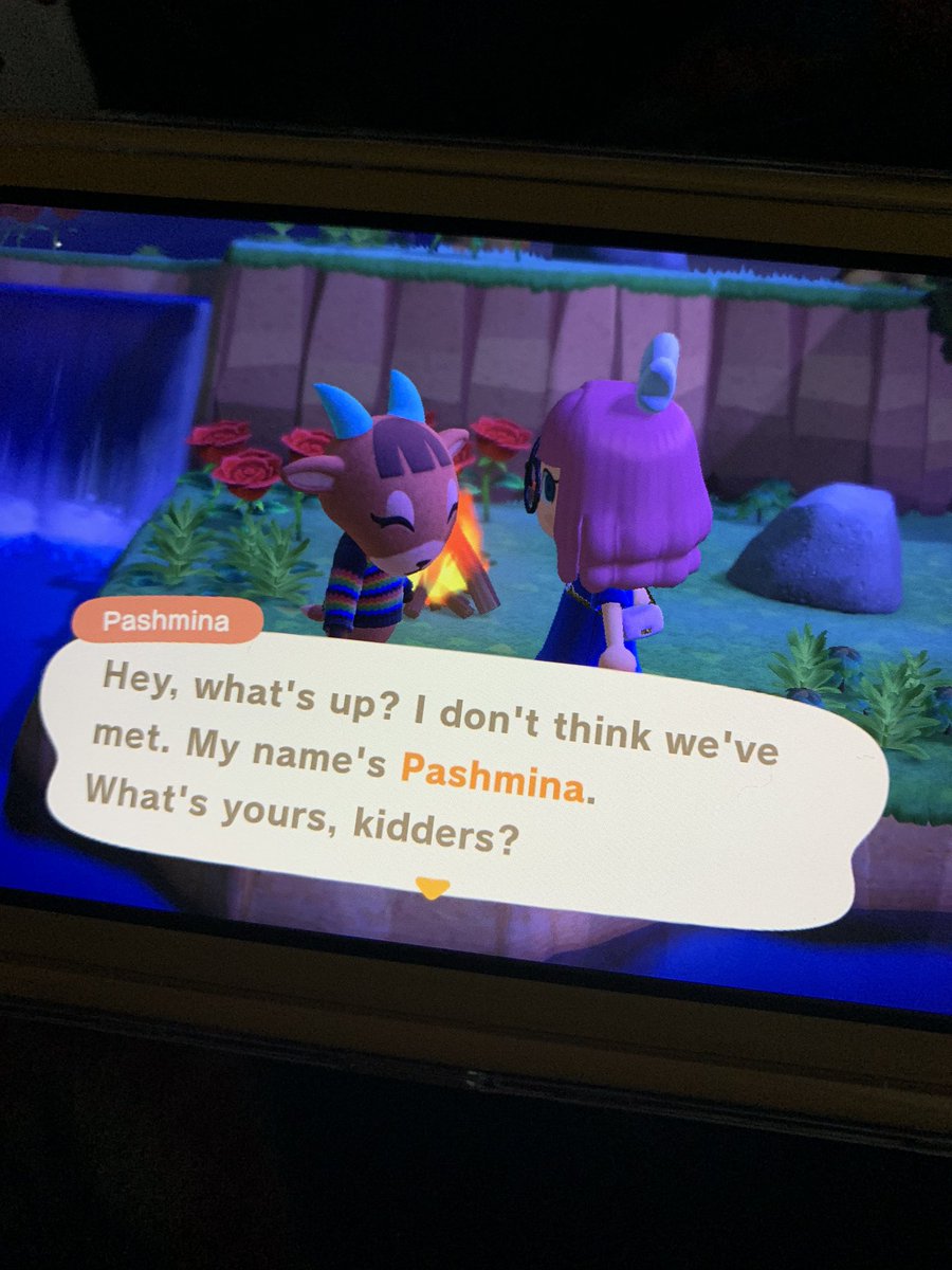 1. pashmina  not who i’m searching for but she was 1 of my 2 starter villagers. I MISSED U BB