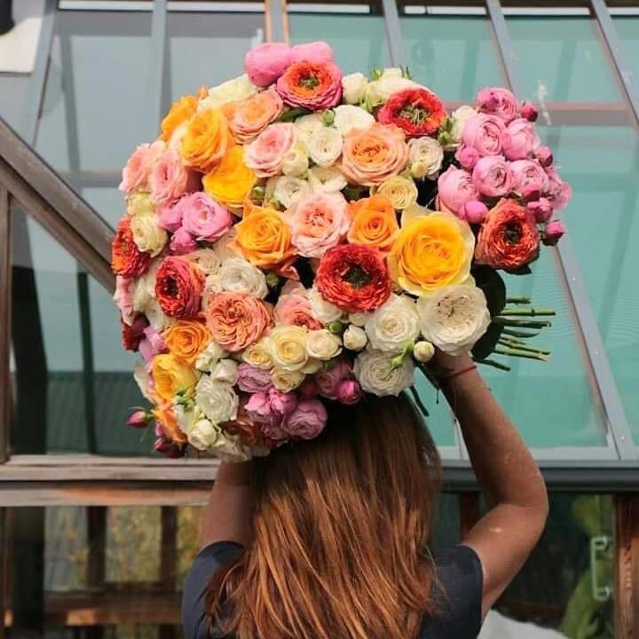 Good vibes only! #roses #vibes #Tuesday #greenhouse #bloemen #FLOWERPOWER <a href="/barendsenexport/">Barendsen Aalsmeer</a>