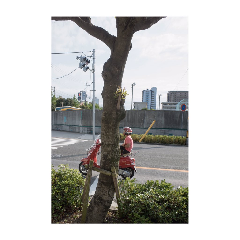 Watanabe tweet media