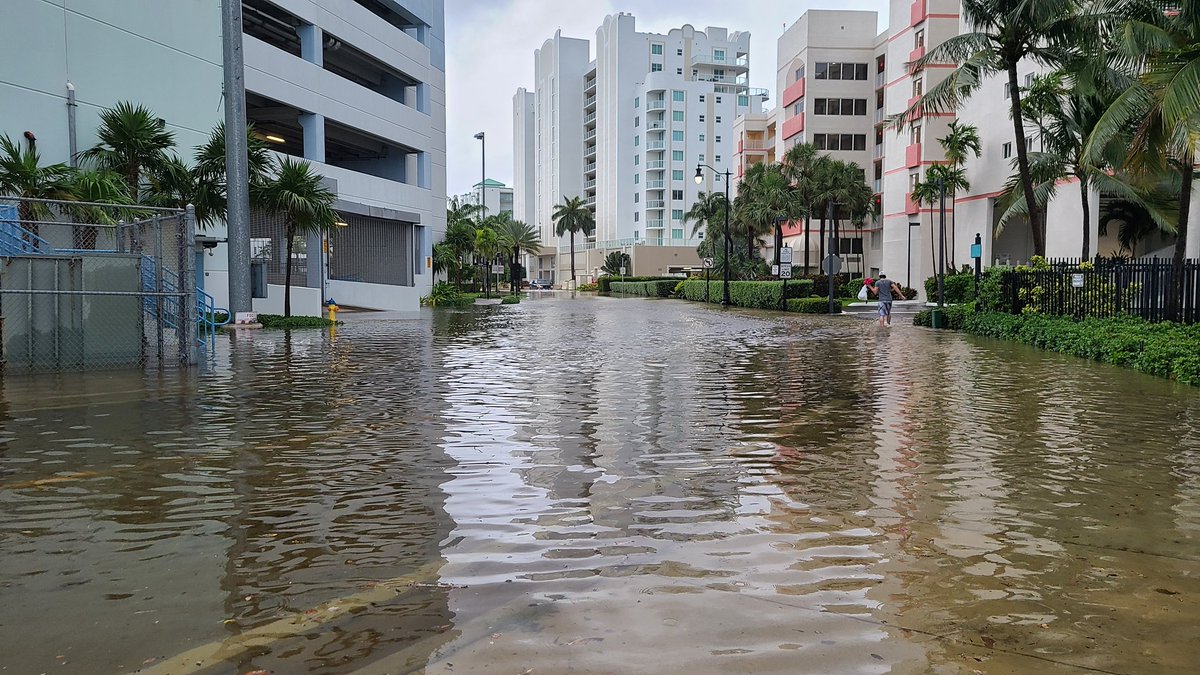 Random thread of me taking a walk during the flash flood: