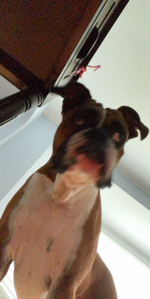 BaileyFutch's tweet photo. Angles matter 😤👀 https://t.co/2cEP6hBi2w