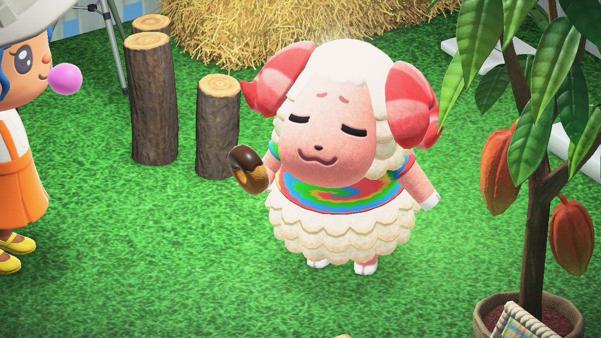 andreakathleen's tweet photo. dom is too precious.  #AnimalCrossing #ACNH #NintendoSwitch https://t.co/sJYgjZmPfY