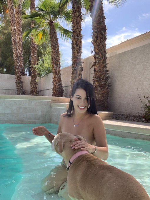 Dogs are funny guys 🐕 https://t.co/zN664rZltu