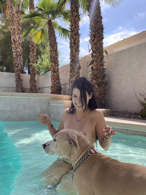 Dogs are funny guys 🐕 https://t.co/zN664rZltu