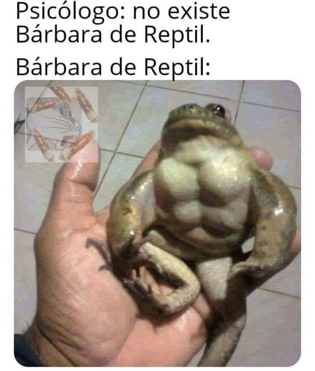ChumelTorres's tweet photo. Seasmamonjajajajajajajajajaajajajajaj https://t.co/GL1ovSI2me