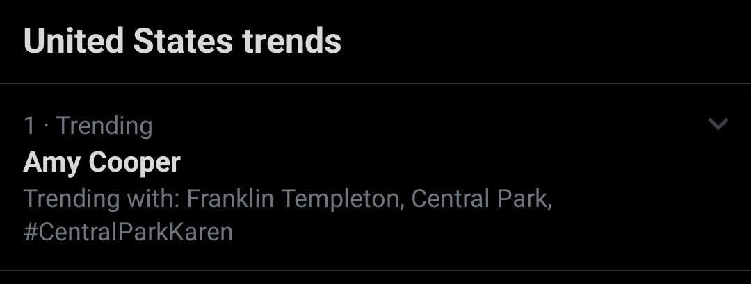 freyathais's tweet photo. Woah Amy Cooper is trending #1, wonder if she will be able to sleep tonight, that's what you get for being a racist. #MakeRacistsAfraid https://t.co/xsQ5ocmI7V