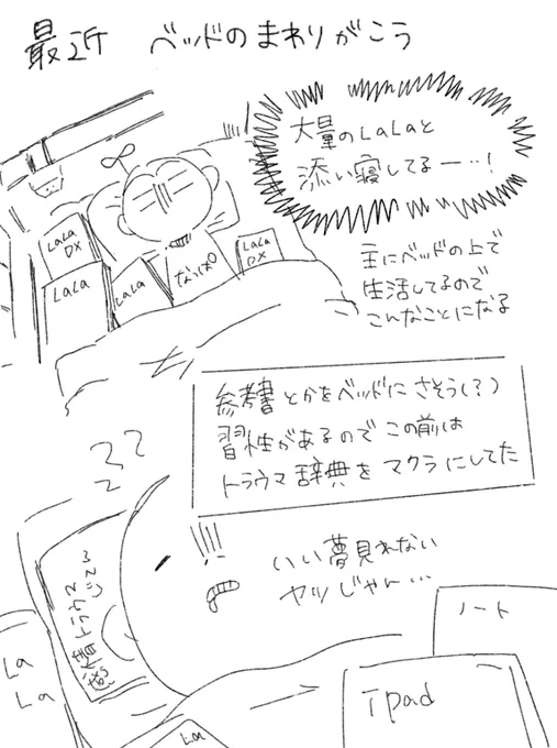 最近の私のベッドの周り事情 