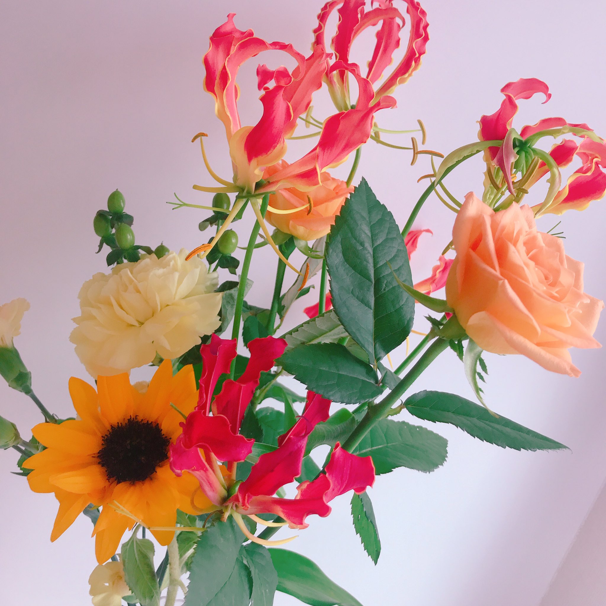 元井美貴 Miki Motoi 部屋のお花 この花火みたいなユリ が気に入って買ったのですが名前を忘れてしまいました