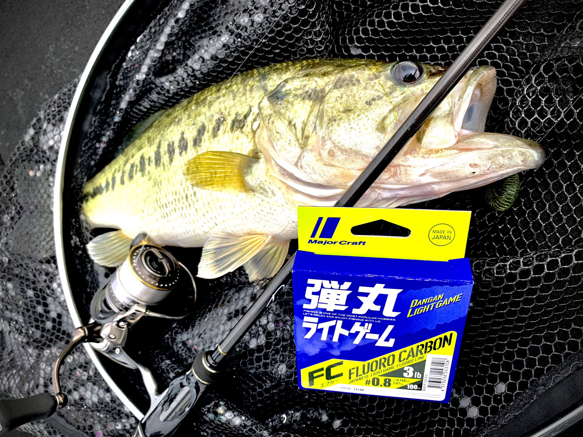 古瀬泰陽 さんず メジャークラフトの弾丸ライトゲームがバスでも使える 5lbまでラインナップあるので 是非スピニングで使ってみてもらいたいです 僕は ダウンショット 3lb ジグヘッド 3 5lb ネコリグ ライトキャロ 4lb な感じで最近使ってます