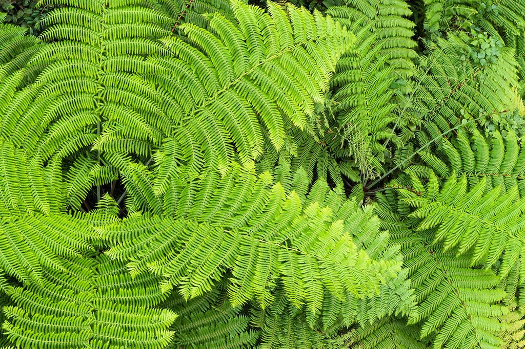 Datacolor's tweet photo. Green
📸 @sanjitpaalsingh
➡️ https://t.co/vhWCwgD5BZ
#NaturalWorld #Photography #Nature #Views #Landscapes #Green #AmazingImage #Leaves #Natural #NaturePhotography #Peace https://t.co/kXycycaZDT