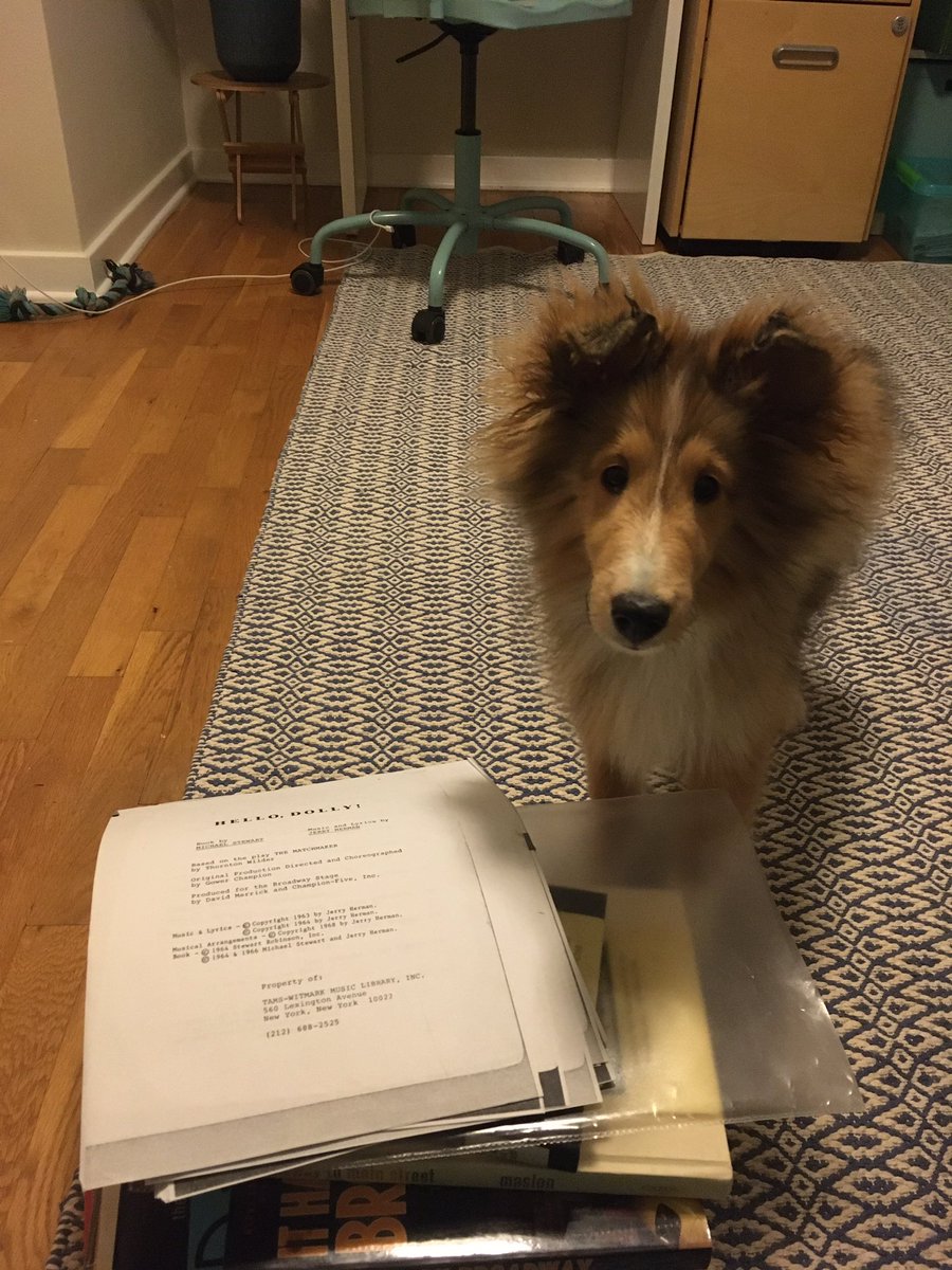 lauraemacdonald's tweet photo. She has also indicated her interest in the HELLO, DOLLY! script several times tonight. #hellosally https://t.co/8ojuVwoEaD