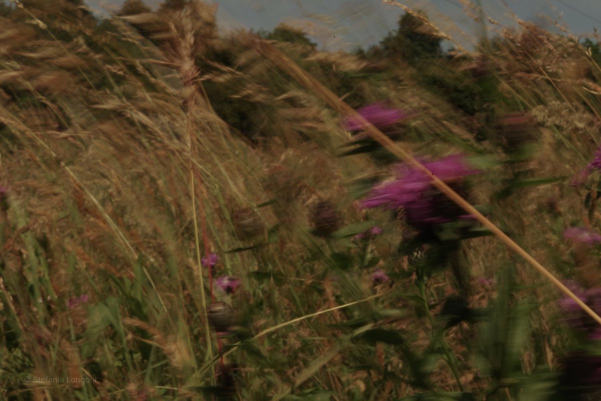 stefitwyt's tweet image. #inComune abbiamo le notti sveglie e tutto ciò che resta del giorno.