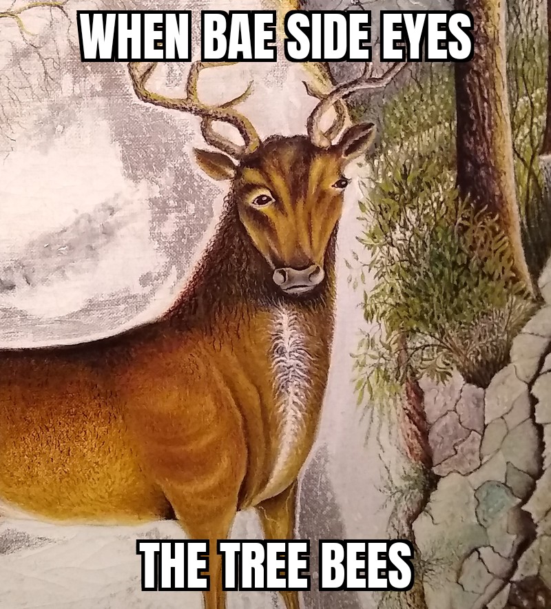 bbmcbiii's tweet image. #JJGO #JordanJesseGo #WhenBaeSideEyesTheTreeBee