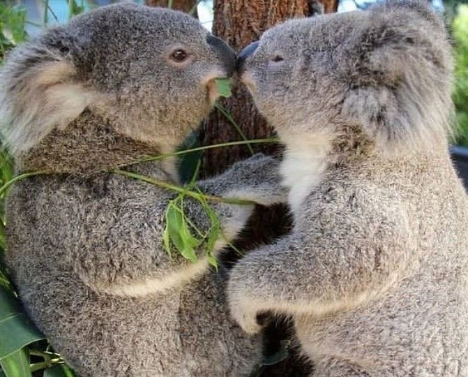 Sunday, May 24th, 2020