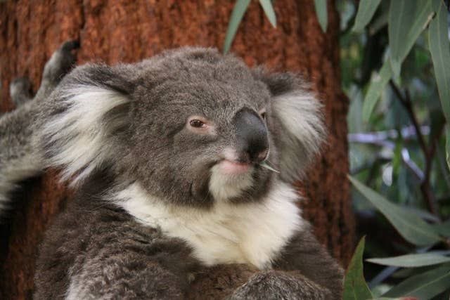 Tuesday, May 26th, 2020