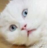 JemmaCong's tweet photo. @Sahnewang 震撼 https://t.co/1Udkw2ourR