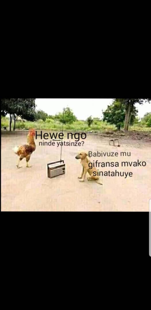13ndya's tweet photo. Bgake
#Ikirundicabarundi #ICA14
"Mbaye nk'iyo mbga". Ku ki #Amatora2020 y'Abarundi 100% bumva Ikirundi ibivuye mu matora bikumvwa na 35% bumva igifaransa? Twarikukiye? Ku ki uwu muvyeyi yasiguriwe mu kirundi ivyavuye mu matora YIWE akabibaza kuko biri mu Gikoloni atumva?
Gwīra https://t.co/S16etHAYT7