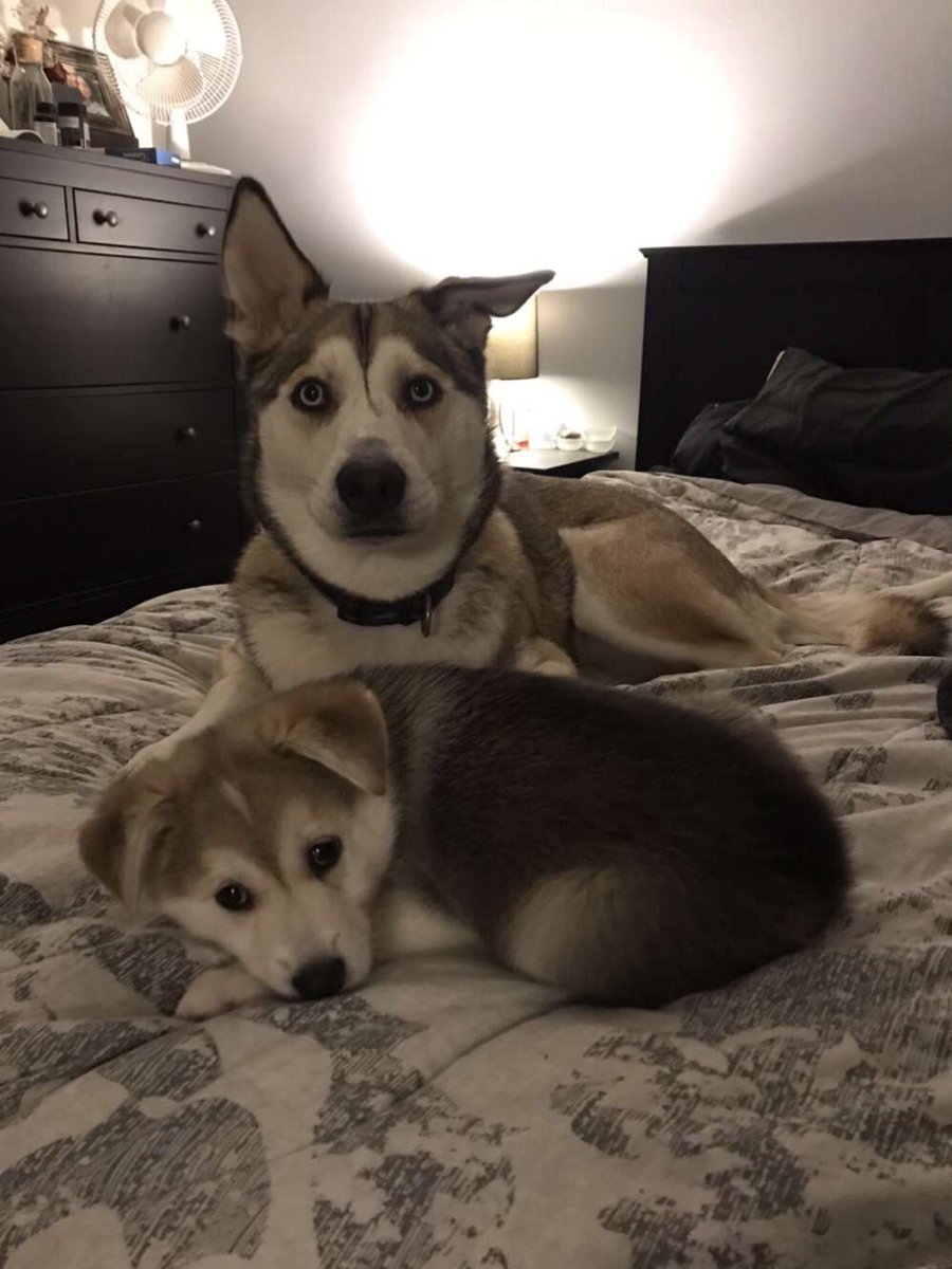 Matty_Boal's tweet image. Open for a surprise