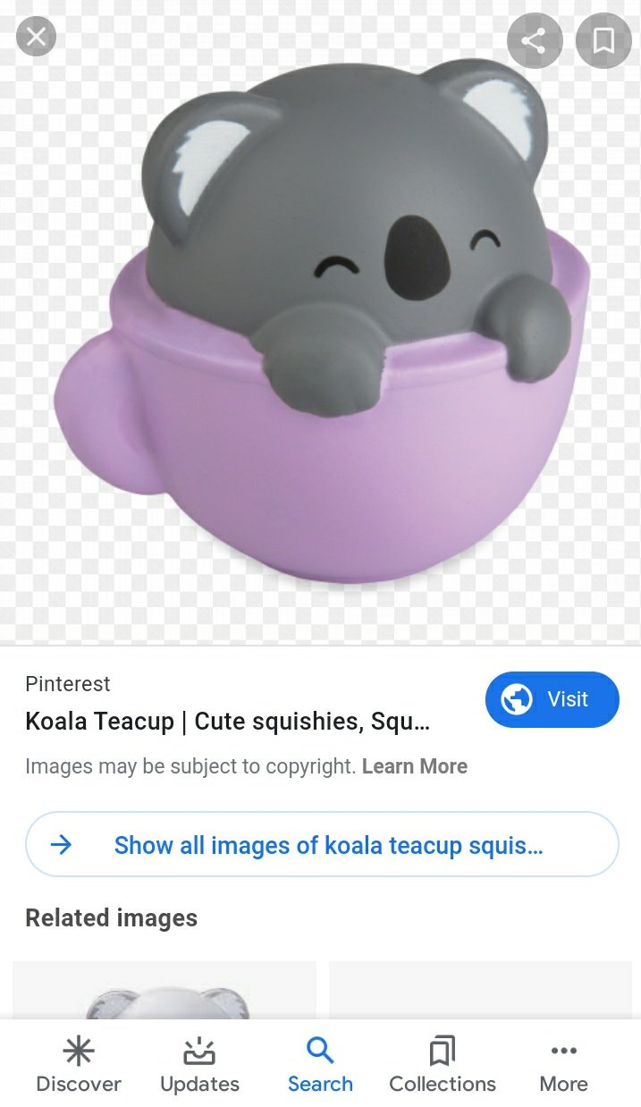 koala teacup squishy
