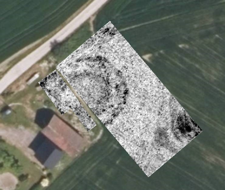 dr Petra Schneidhofer tweet media