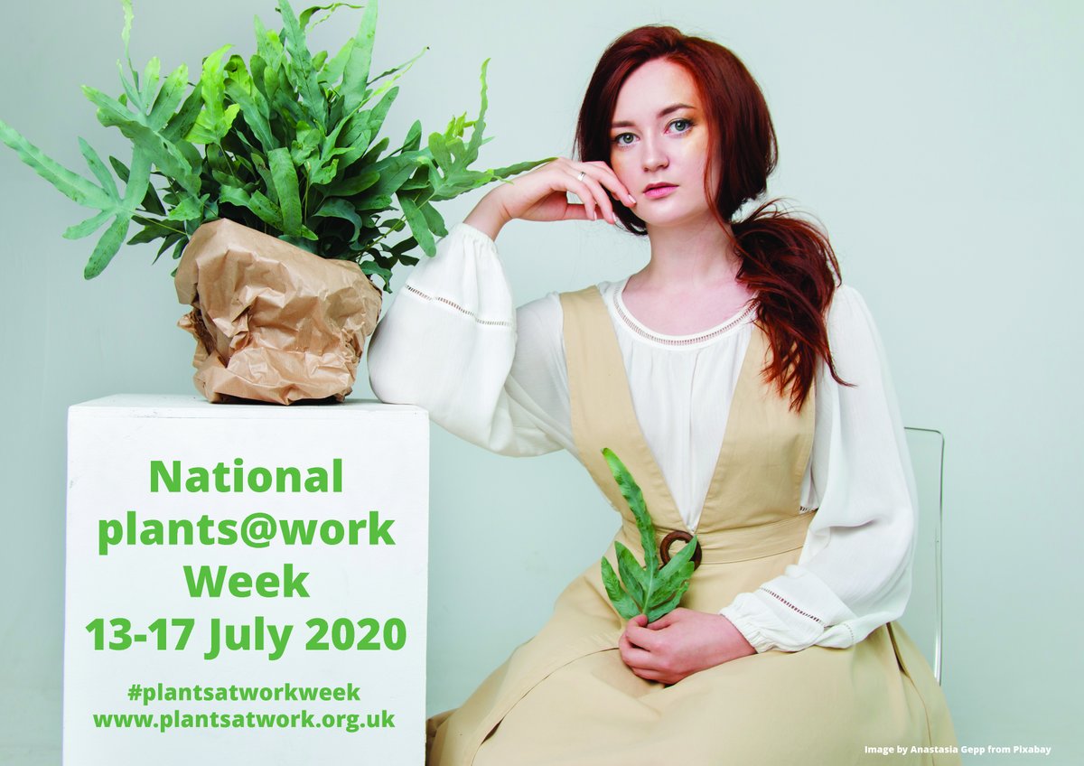National Plants at Work Week will be back on 13-17 July 2020. Join us to promote plant benefits