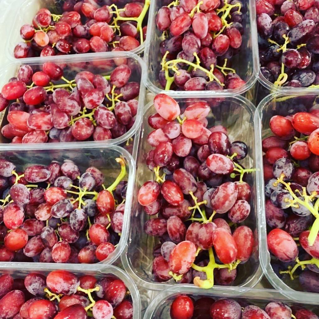 Jupiter__Group's tweet photo. Our Chilean grown Crimson are nurtured in the ideal South American climate, ensuring a consistent taste and juicy berries.
#Crimson #crimsongrape #freshproduce #freshfruit #vineyard #packingfacility #enjoyfruit #healthy #healthfruit #harvest #tablegrapes #chile #chileangrape https://t.co/twyk3qXvZI