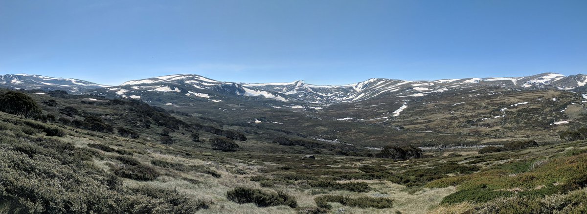 Sonya Geange tweet media