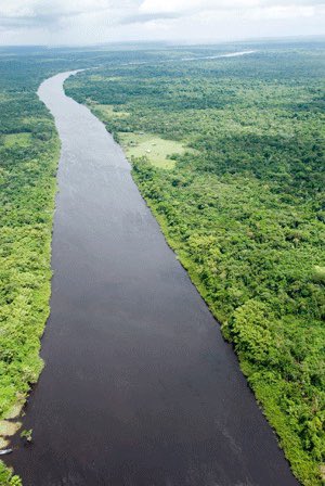 On the theme of rivers, the largest - the Essequibo river is some 600 miles long (compared to 215 for the River Thames) and at its mouth it’s some 21 miles wide!