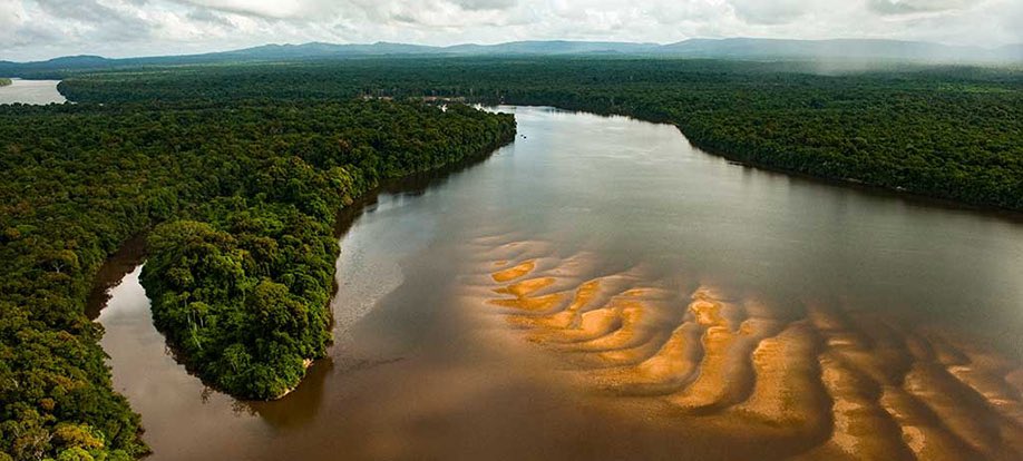 On the theme of rivers, the largest - the Essequibo river is some 600 miles long (compared to 215 for the River Thames) and at its mouth it’s some 21 miles wide!