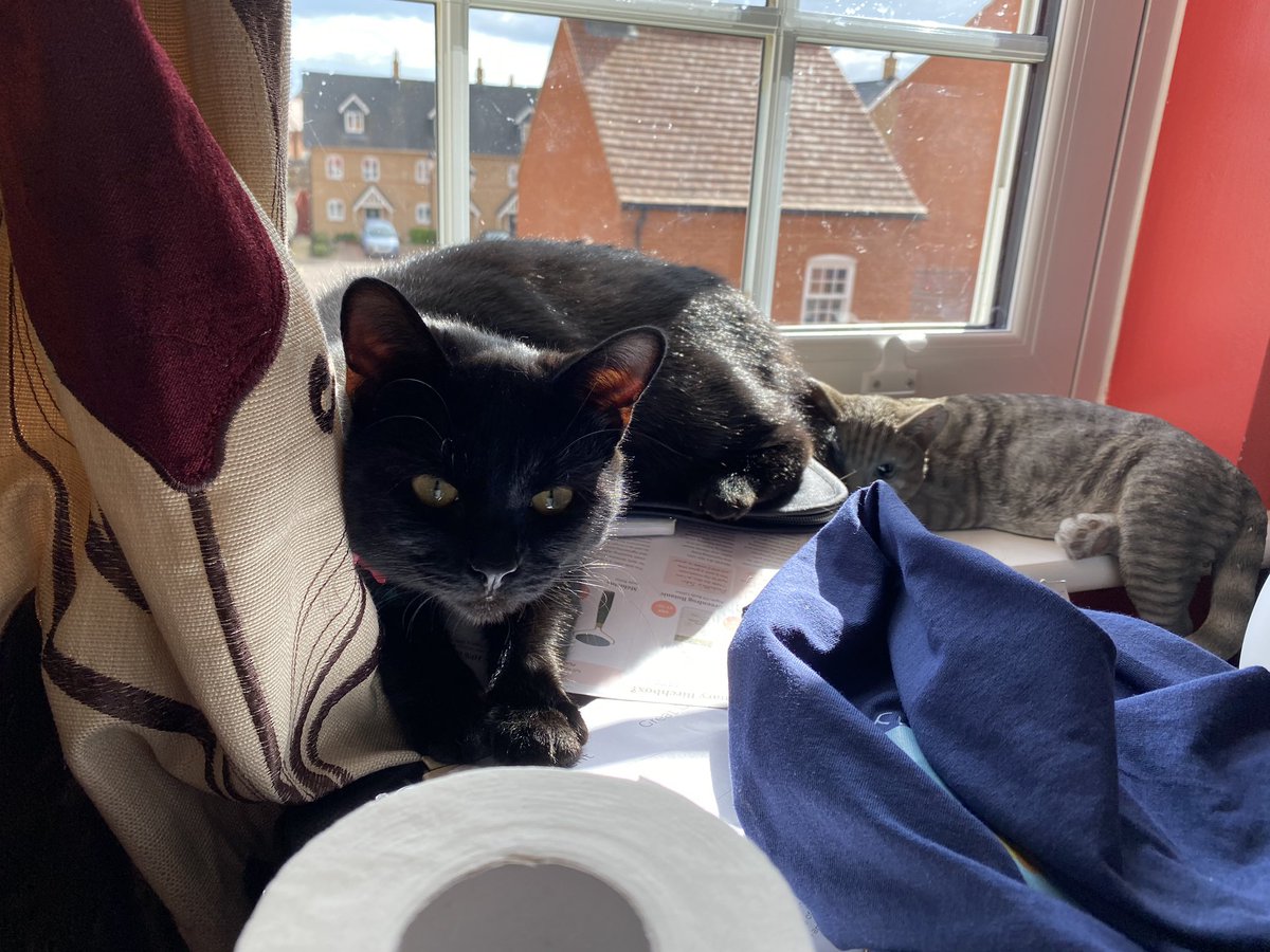 Scared the crap out of my mum today by nearly jumping out of this second storey window