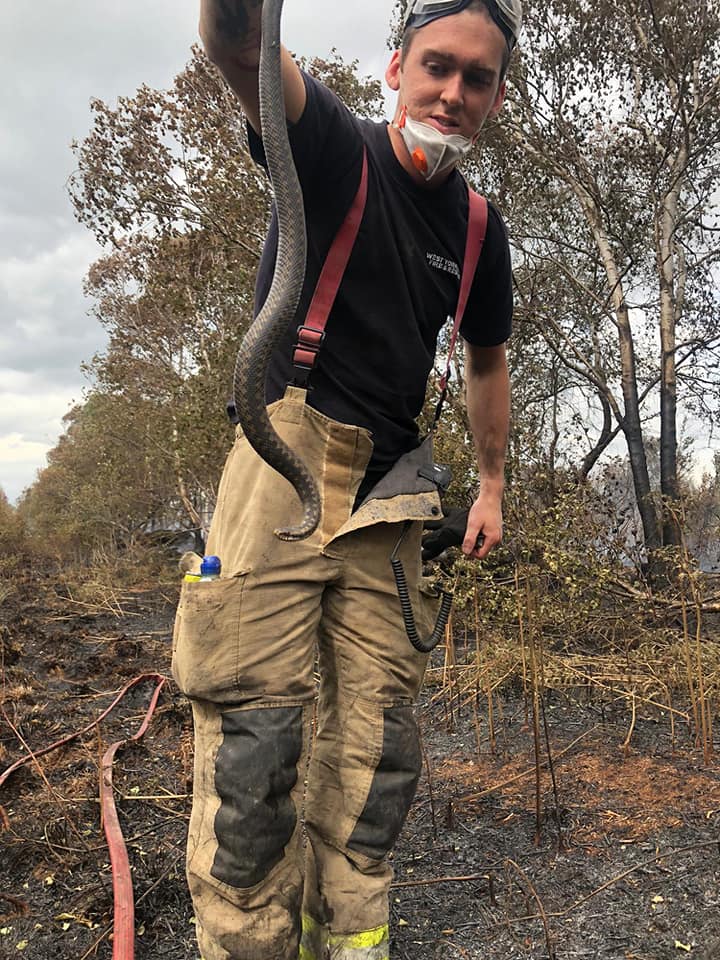 WYFRS's tweet photo. 😱 If you're afraid of snakes then look away now! 🐍

Firefighters from Skelmanthorpe came across an interesting find whilst dealing with a Moorland fire this weekend!

Thanks to some top work, our brilliant crews managed to save the snake from the fire. 👏👏👏

#MondayMorning https://t.co/EvbVduPmyT