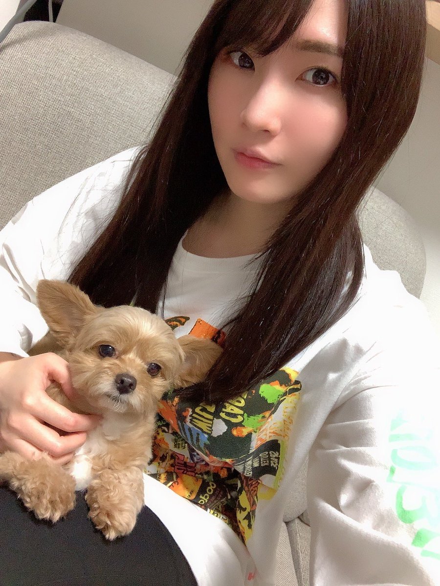 MacchiTaro's tweet photo. 野々宮みさとさん、
素人感があってとても可愛い。

#AV女優 #可愛いは正義 https://t.co/mgHjKUZVyp