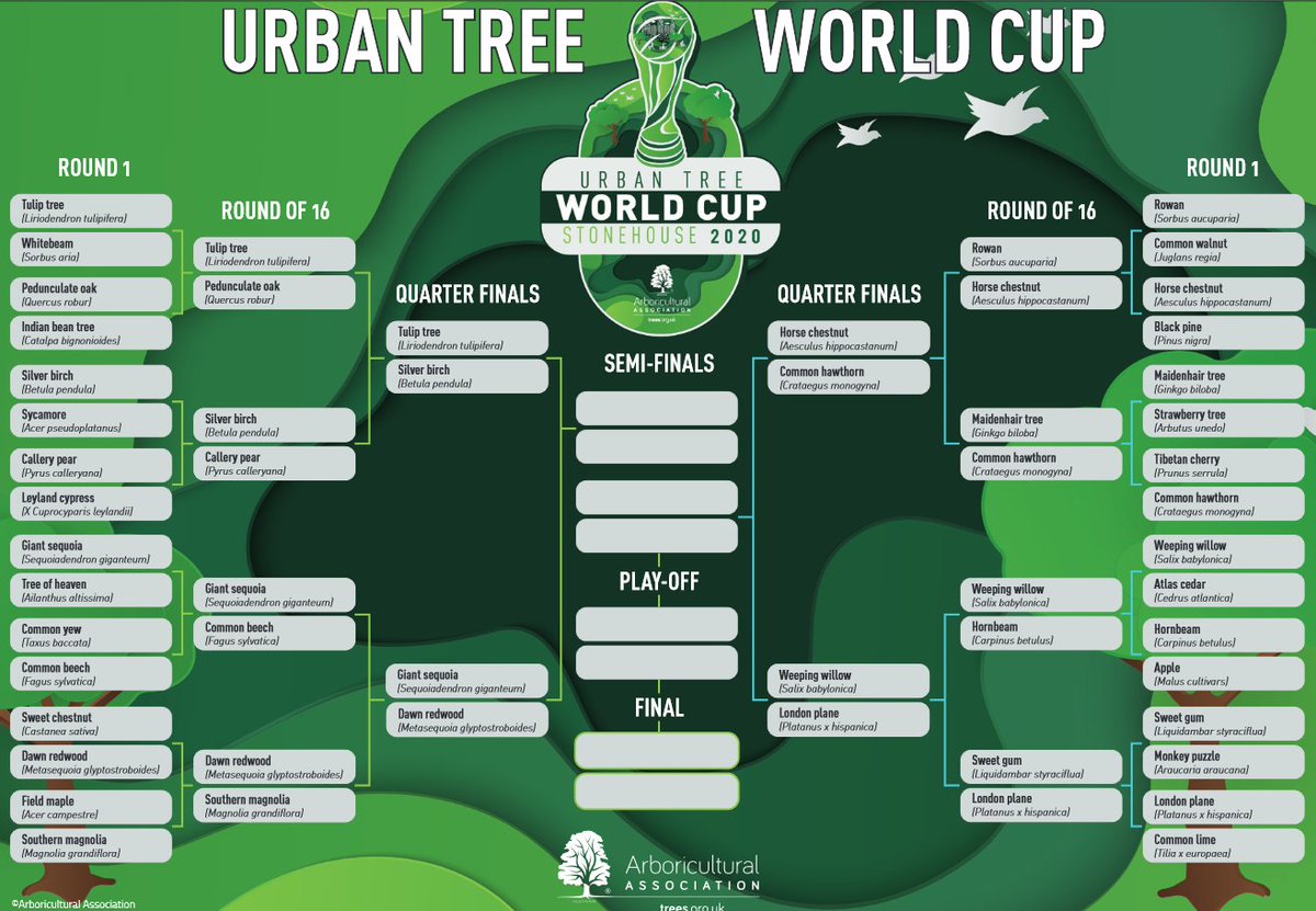 royal_forestry's tweet photo. The iconic London Plane crowned ultimate urban tree, after winning the final of a 32-tree tournament in which over 16,000 votes were cast, sparking lots of debate, plenty of #TreeTrashTalk, fun and learning.
You can view the full tournament results at https://t.co/VlYQwuAZsk https://t.co/lVDfE1NBy7