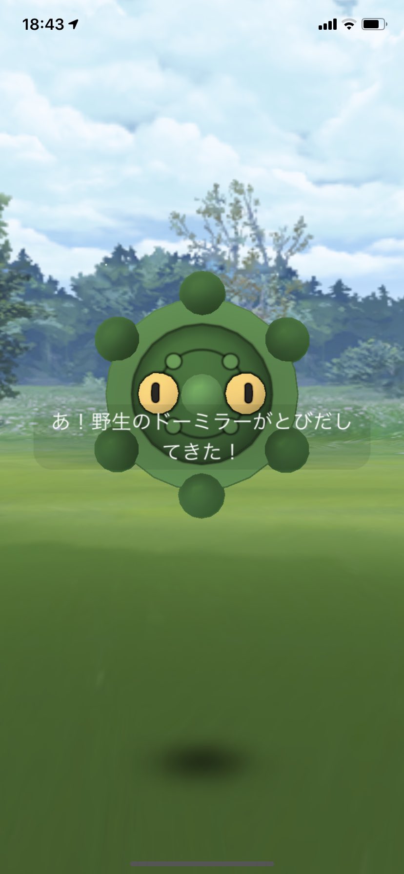 Kumo ポケモンgoアカ ドーミラーのスポットライトアワーみんなしましたか 僕はお香使って色違い2匹でしたー ポケモンgo ドーミラー 色違い T Co Fhzl9czrac Twitter