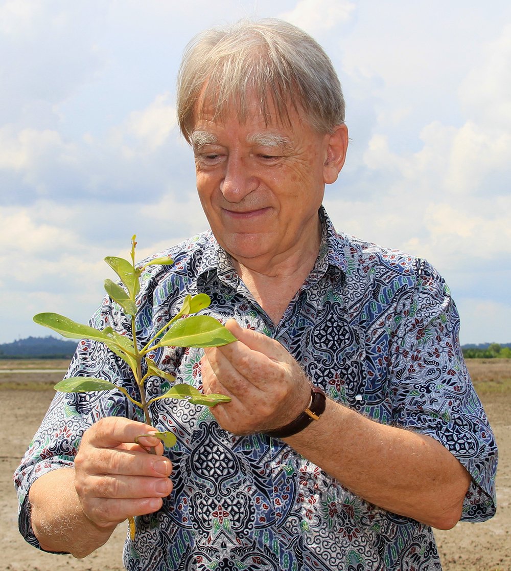 WorldviewInter1's tweet photo. This new video is presenting our mangrove planting program at the Thor Heyerdal Climate Park in Myanmar aiming at planting one billion tres over a 10 years period
https://t.co/XL2cVx1jc7 https://t.co/BNbvP3aFJP