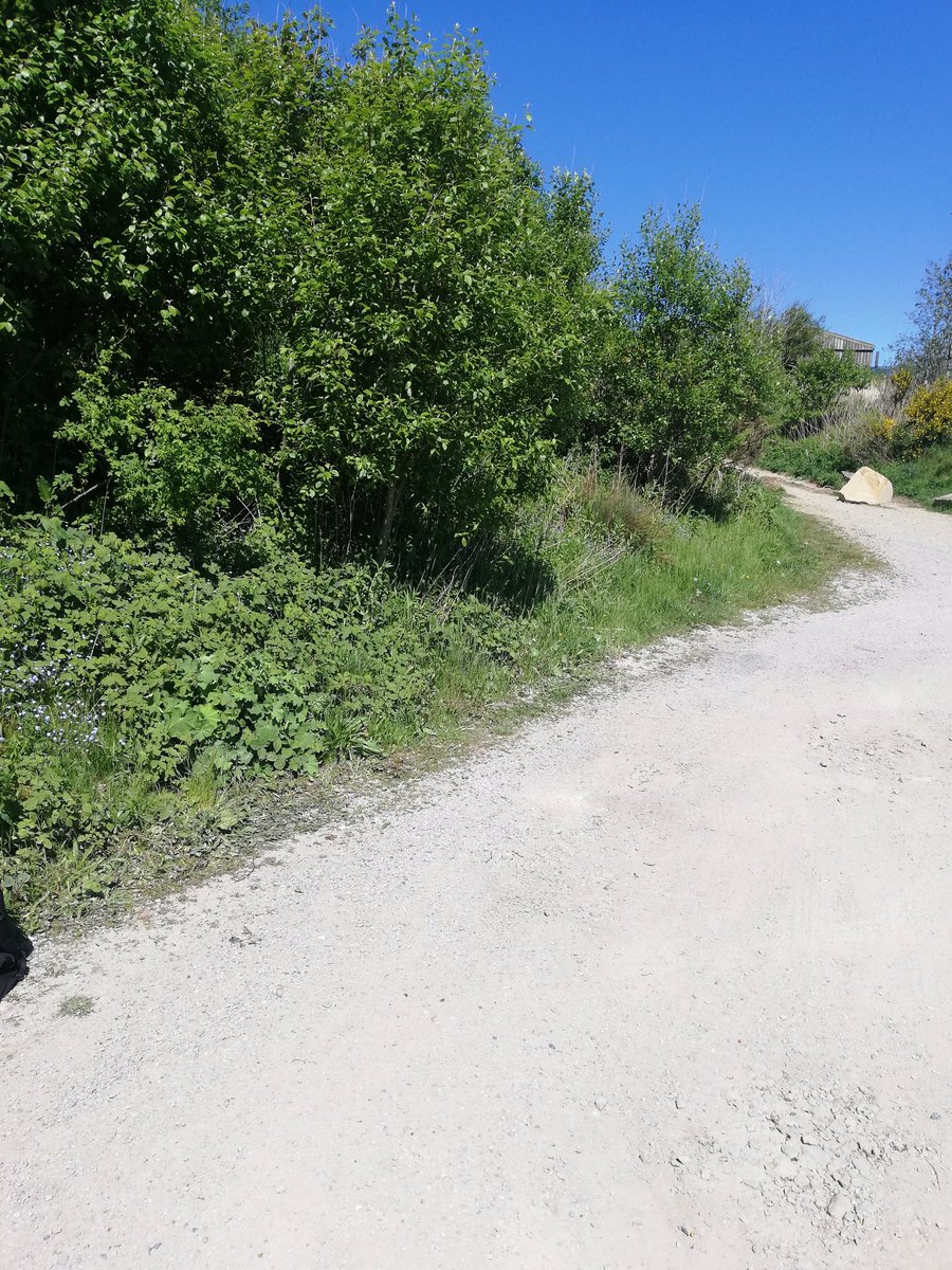 HaslingdenHigh's tweet photo. We have 8 Expectations of our students, based around ‘Respect’, so it’s amazing when they live up to our expectations and they haven’t been in school for 10 weeks. Y7 student, Logan Paul, heard the Halo was surrounded by litter, so he hiked up and cleared it! Respect, Logan. ⭐️ https://t.co/1MiG4w5KSt