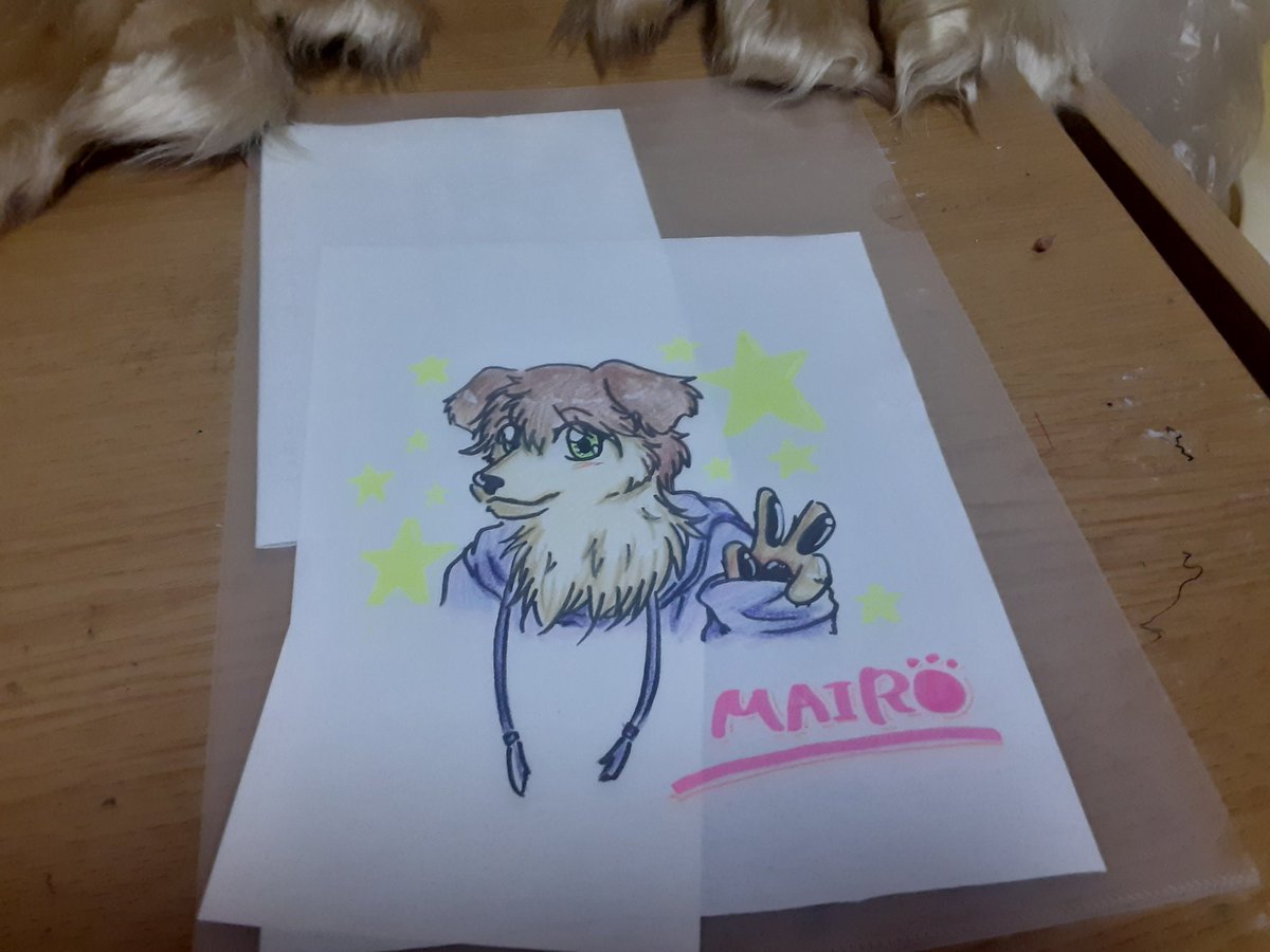 犬神うる G ブヒ丸u ェ Uさん Fureburuharu から ハーフスーツでジャックラッセルテリアの マイロ 君をお迎えしました 素敵なマイロ君のイラストやお手紙 獣化の際の説明書まで ﾟ ﾟ ブヒ丸u ェ Uさん 今回は初心者の僕に里親さんの