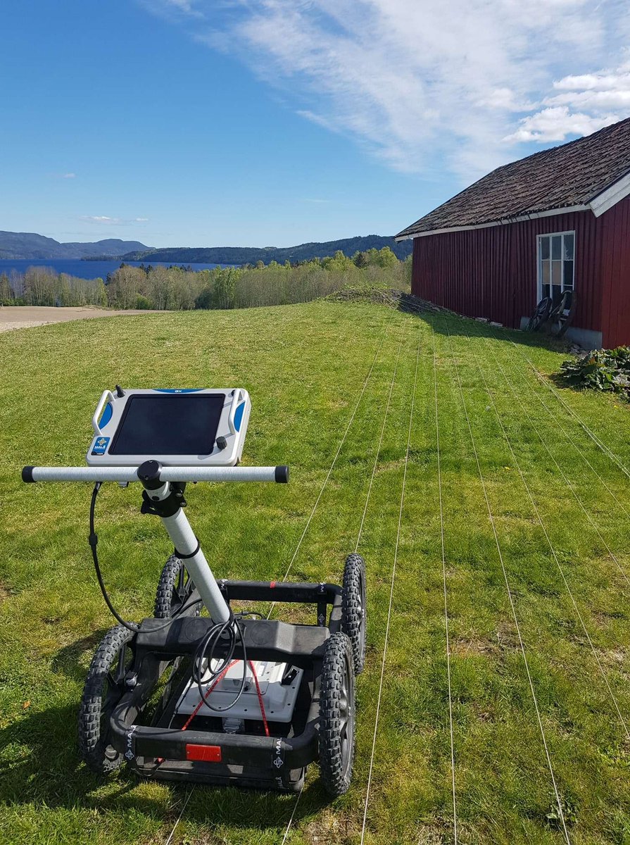 dr Petra Schneidhofer tweet media